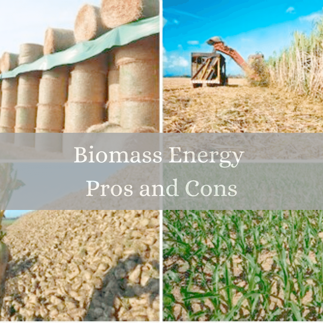 Biomass Energy Advantages and Disadvantages