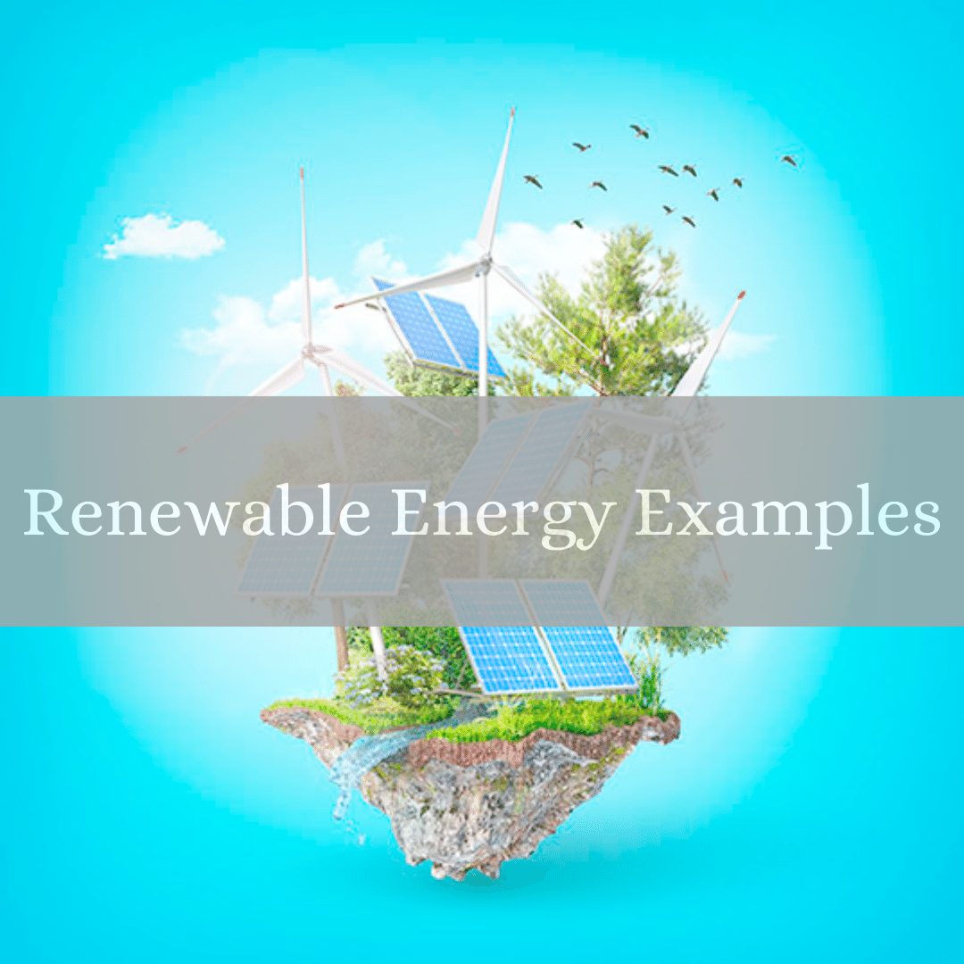 What Are The Examples of Renewable Resources