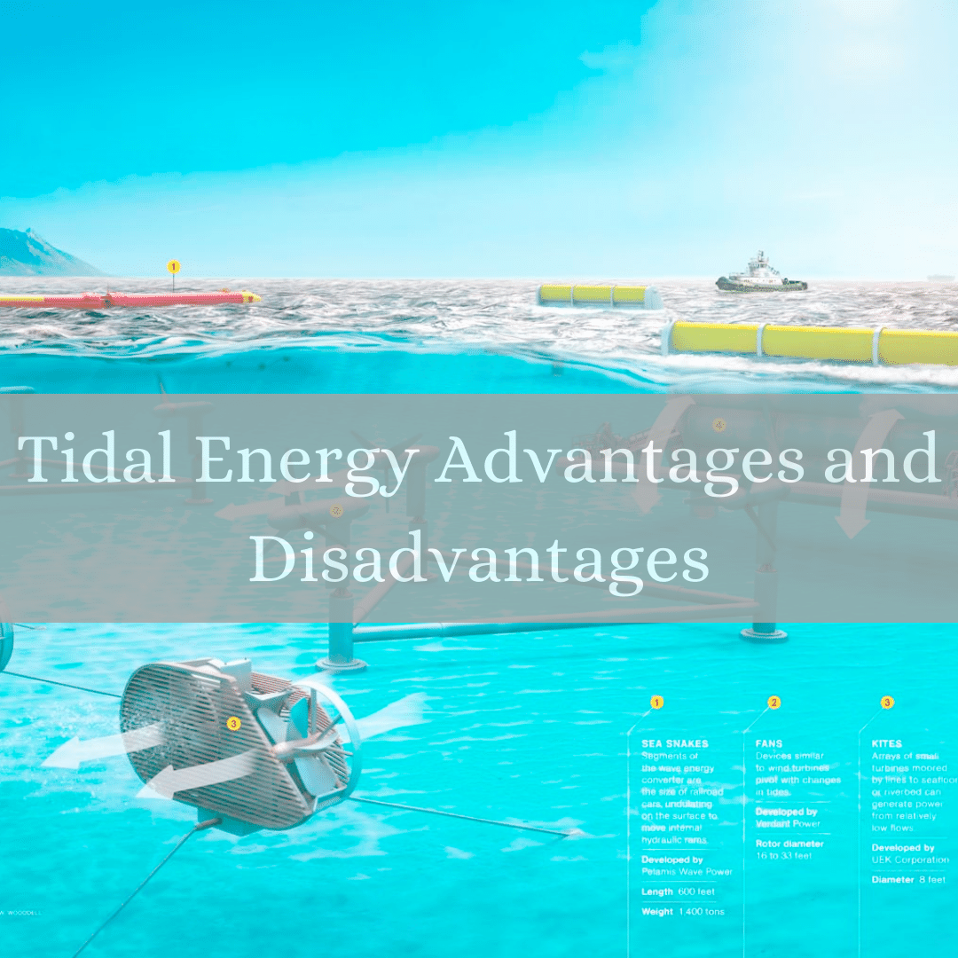 Tidal Energy Advantages and Disadvantages